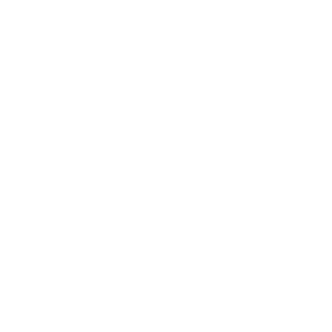 icon_video
